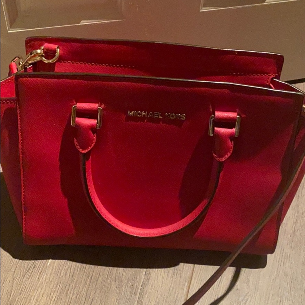 Michael Korea bag. Used 3 times